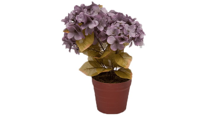 Ecommerce products Archives